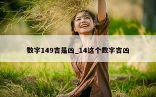 数字 149 吉是凶_14 这个数字吉凶