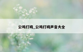 公鸡打鸣_公鸡打鸣声音大全