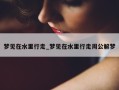 梦见在水里行走_梦见在水里行走周公解梦