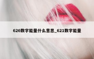 626 数字能量什么意思_621 数字能量