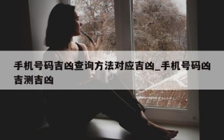 手机号码吉凶查询方法对应吉凶_手机号码凶吉测吉凶