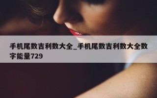 手机尾数吉利数大全_手机尾数吉利数大全数字能量 729