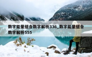 数字能量组合数字解析 336_数字能量组合数字解析 555