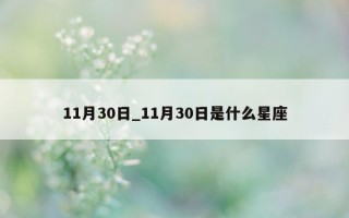 11月30日_11月30日是什么星座