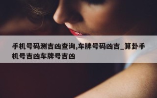 手机号码测吉凶查询, 车牌号码凶吉_算卦手机号吉凶车牌号吉凶