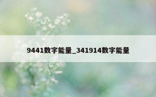 9441 数字能量_341914 数字能量