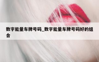 数字能量车牌号码_数字能量车牌号码好的组合