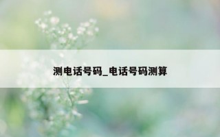 测电话号码_电话号码测算