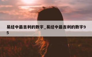 易经中最吉利的数字_易经中最吉利的数字 95