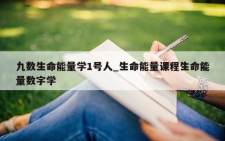 九数生命能量学 1 号人_生命能量课程生命能量数字学