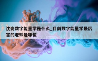 沈亮数字能量学是什么_目前数字能量学最厉害的老师是哪位