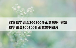 财富数字组合 100100 什么意思啊_财富数字组合 100100 什么意思啊图片