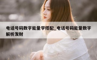 电话号码数字能量学搭配_电话号码能量数字解析发财