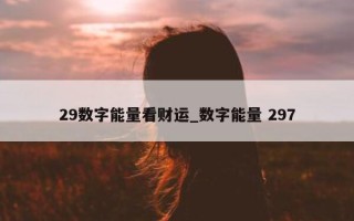 29 数字能量看财运_数字能量 297