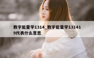 数字能量学 1314_数字能量学 131419 代表什么意思