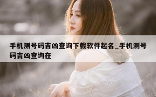 手机测号码吉凶查询下载软件起名_手机测号码吉凶查询在