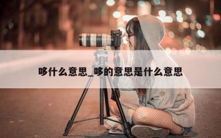 哆什么意思_哆的意思是什么意思