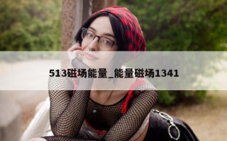 513 磁场能量_能量磁场 1341