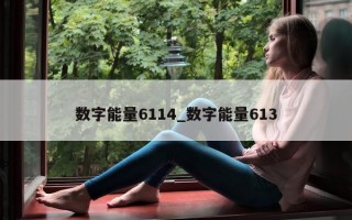 数字能量 6114_数字能量 613