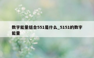 数字能量组合 551 是什么_5151 的数字能量