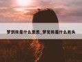 梦到熊是什么意思_梦见熊是什么兆头