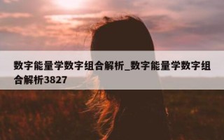 数字能量学数字组合解析_数字能量学数字组合解析 3827