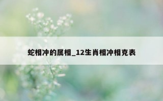 蛇相冲的属相_12生肖相冲相克表