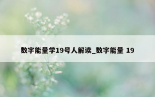 数字能量学 19 号人解读_数字能量 19