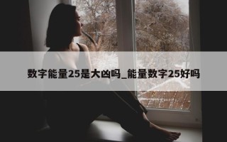 数字能量 25 是大凶吗_能量数字 25 好吗