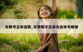 车牌号总和吉数_车牌数字总和为吉祥号规律