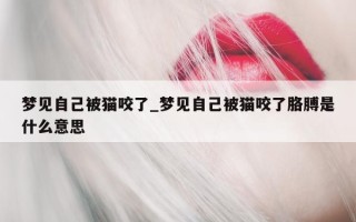 梦见自己被猫咬了_梦见自己被猫咬了胳膊是什么意思