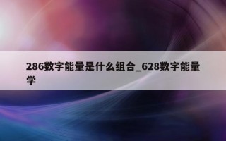 286 数字能量是什么组合_628 数字能量学