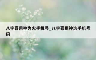 八字喜用神为火手机号_八字喜用神选手机号码