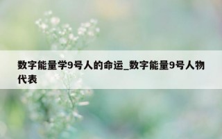 数字能量学 9 号人的命运_数字能量 9 号人物代表