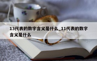 13 代表的数字含义是什么_11 代表的数字含义是什么