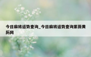 今日麻将运势查询_今日麻将运势查询紫薇黄历网