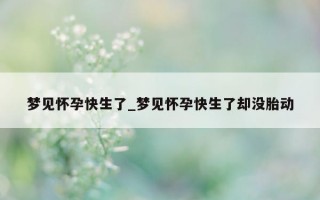 梦见怀孕快生了_梦见怀孕快生了却没胎动