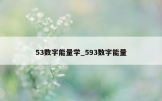 53 数字能量学_593 数字能量