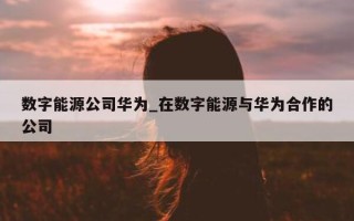 数字能源公司华为_在数字能源与华为合作的公司