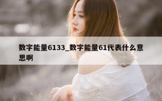 数字能量 6133_数字能量 61 代表什么意思啊