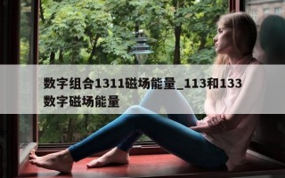 数字组合 1311 磁场能量_113 和 133 数字磁场能量