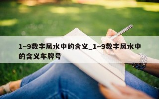 1～9 数字风水中的含义_1～9 数字风水中的含义车牌号