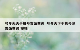 号令天天手机号吉凶查询_号令天下手机号测吉凶查询 视频