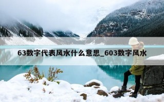 63 数字代表风水什么意思_603 数字风水