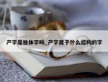 产字是独体字吗_产字属于什么结构的字