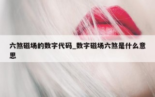 六煞磁场的数字代码_数字磁场六煞是什么意思