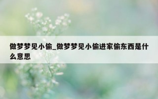 做梦梦见小偷_做梦梦见小偷进家偷东西是什么意思