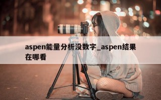 aspen 能量分析没数字_aspen 结果在哪看