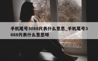 手机尾号 3088 代表什么意思_手机尾号 3088 代表什么意思呀