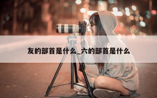 友的部首是什么_六的部首是什么